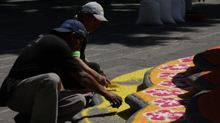 Alfombra-Monumental