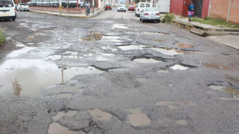 Baches
