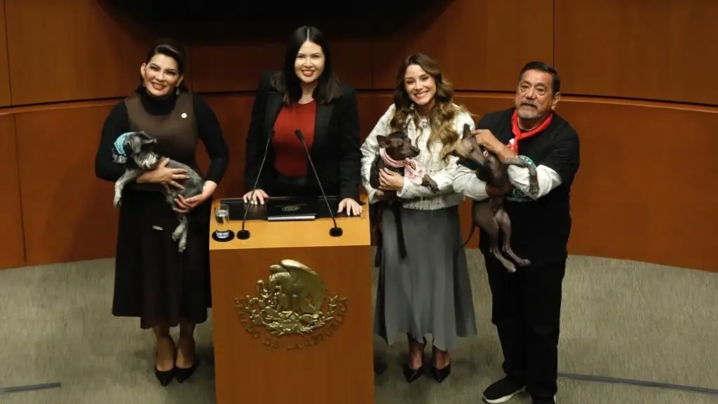 Reforma-de-Proteccion-Animal